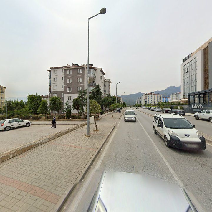 Fotoğraf 13