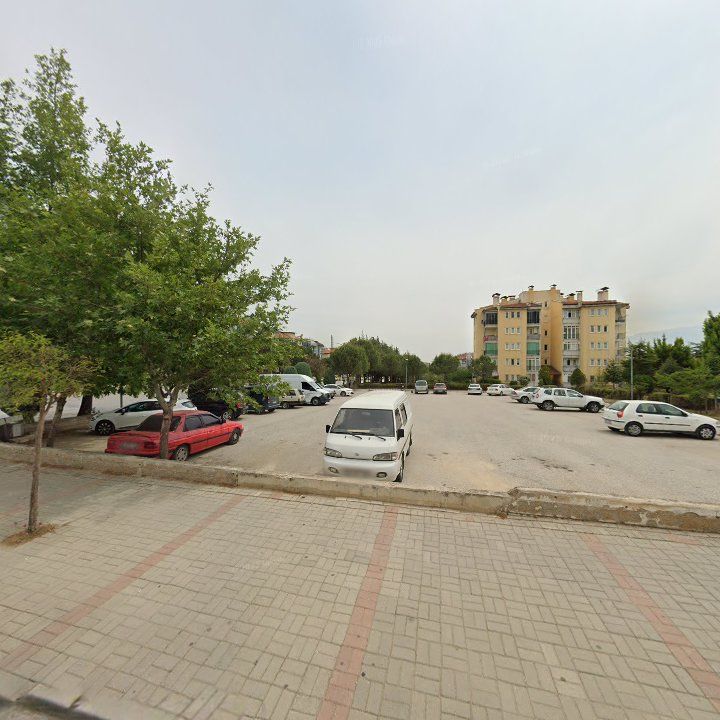 Fotoğraf 12