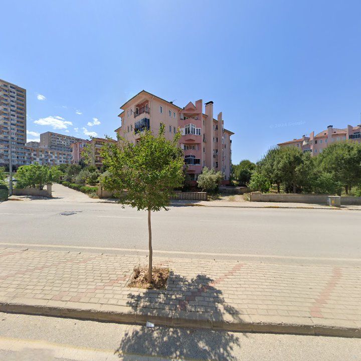 Fotoğraf 11
