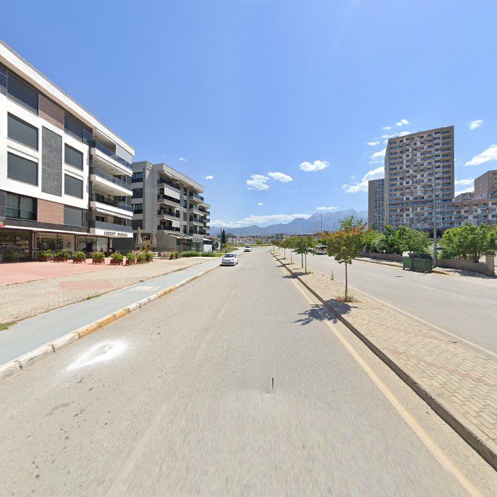 Fotoğraf 10