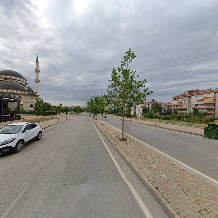 Fotoğraf 8