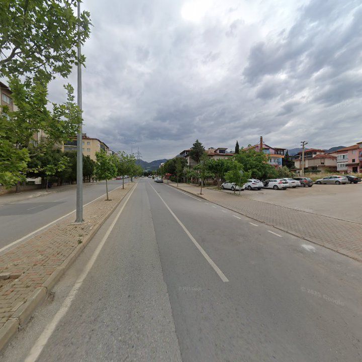 Fotoğraf 10