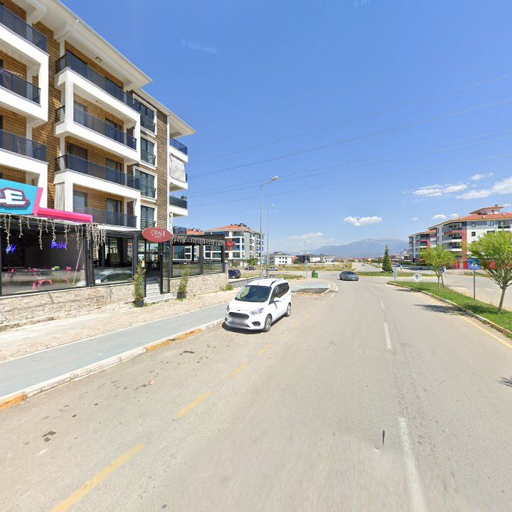 Fotoğraf 11