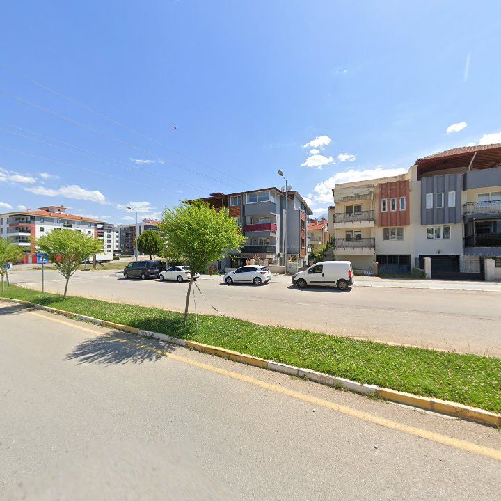 Fotoğraf 12