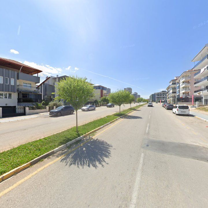 Fotoğraf 13