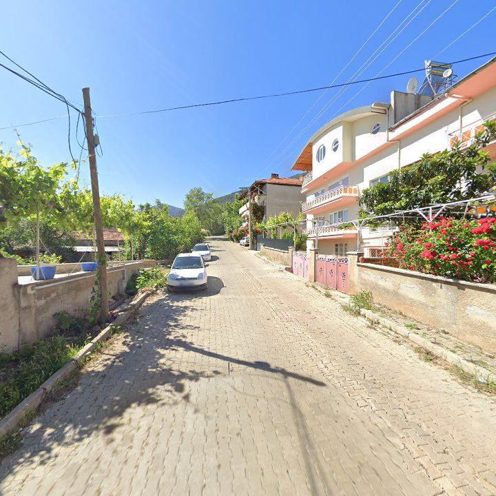 Fotoğraf 9