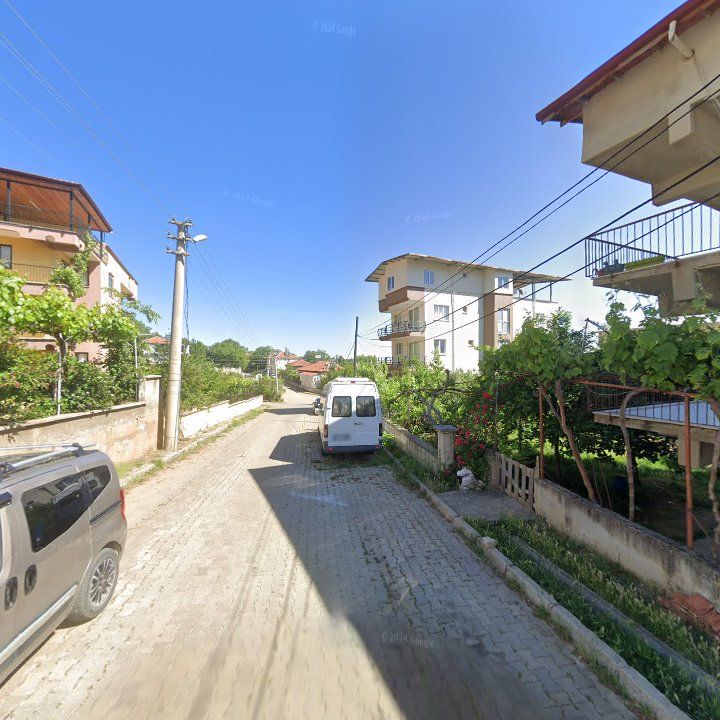 Fotoğraf 7