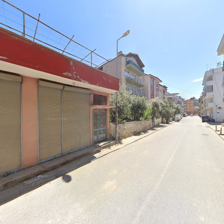 Fotoğraf 9