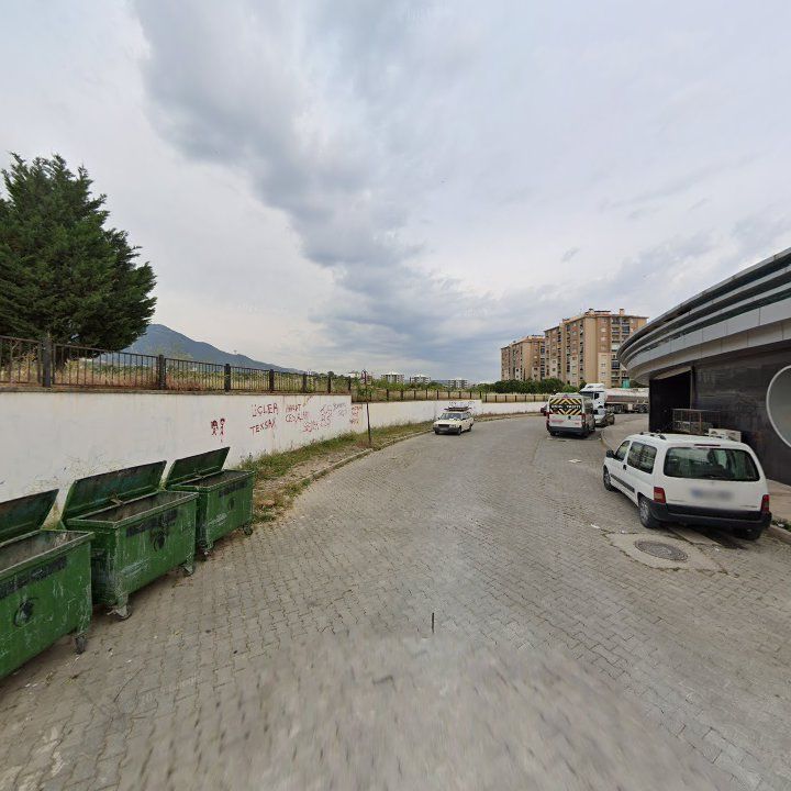 Fotoğraf 12