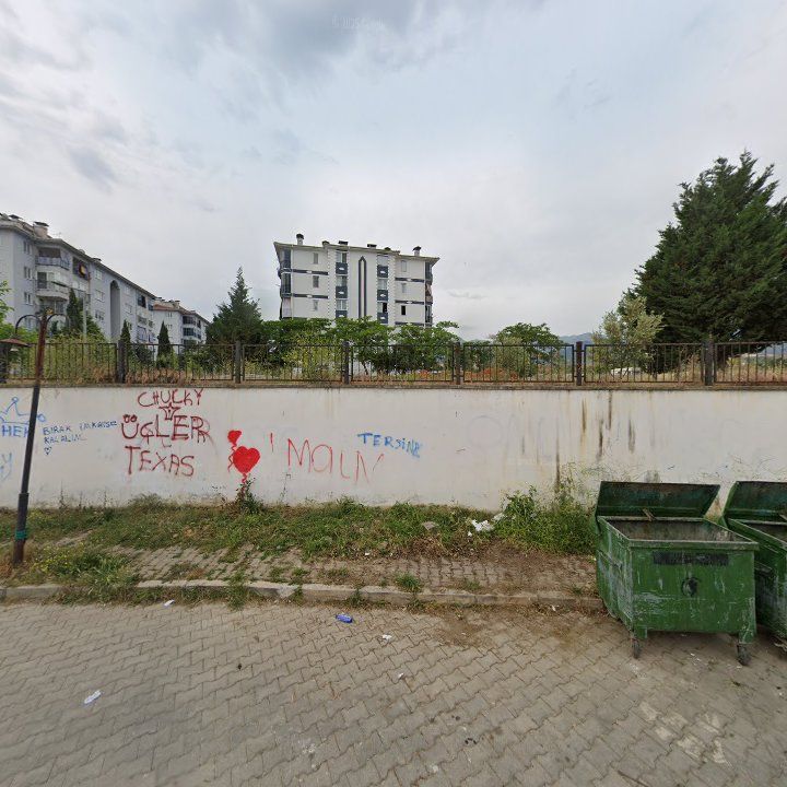 Fotoğraf 11