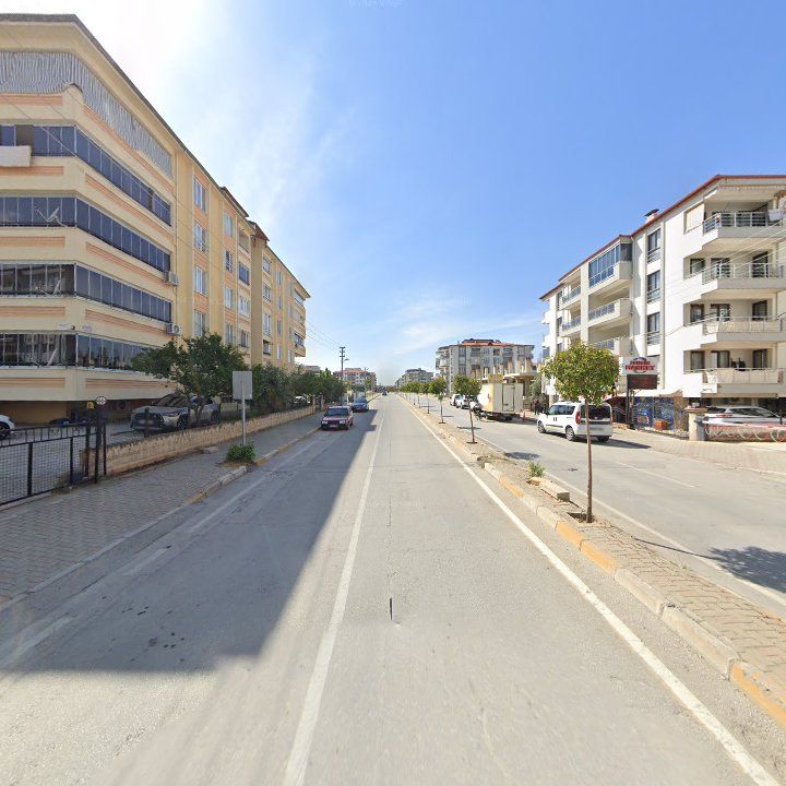 Fotoğraf 11