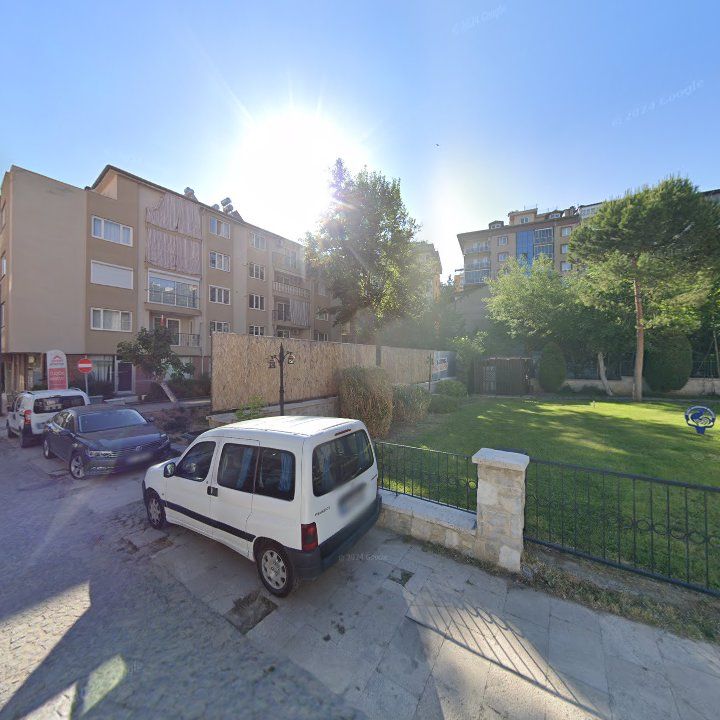 Fotoğraf 8