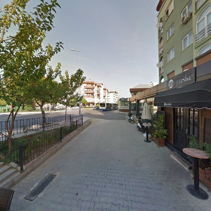 Fotoğraf 14