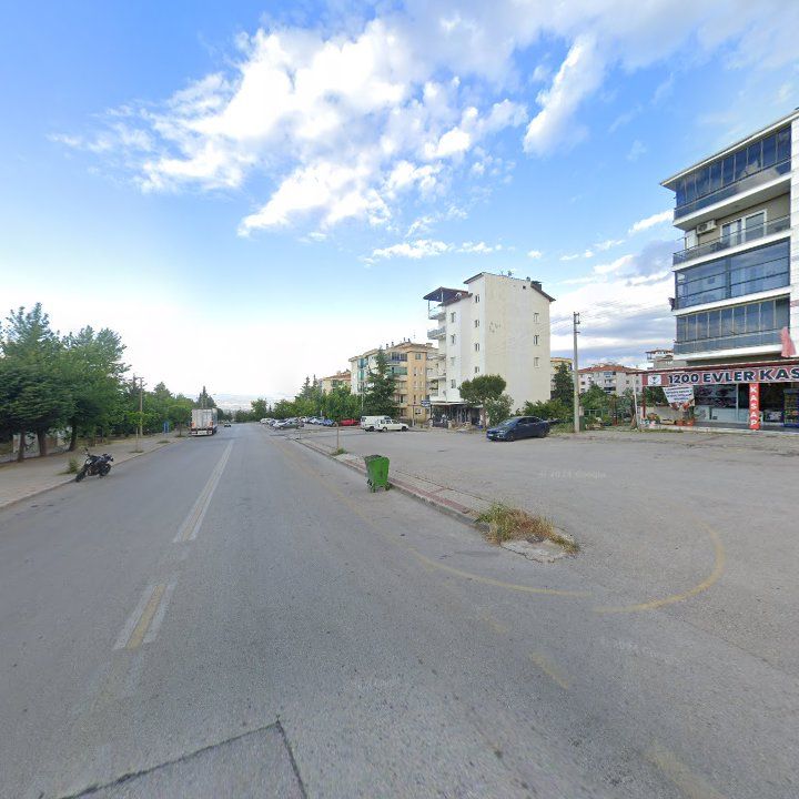 Fotoğraf 12