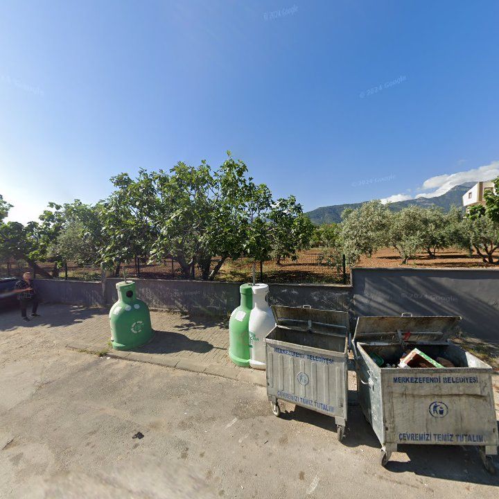 Fotoğraf 9