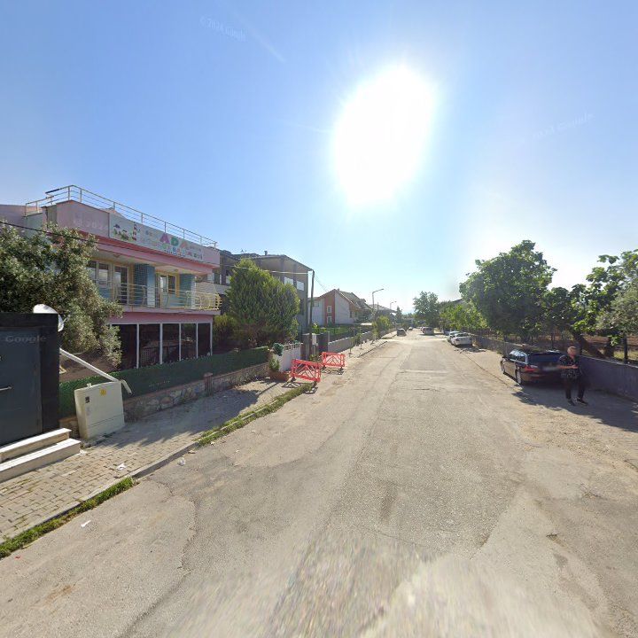 Fotoğraf 8