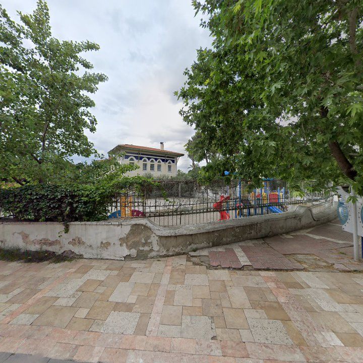 Fotoğraf 8