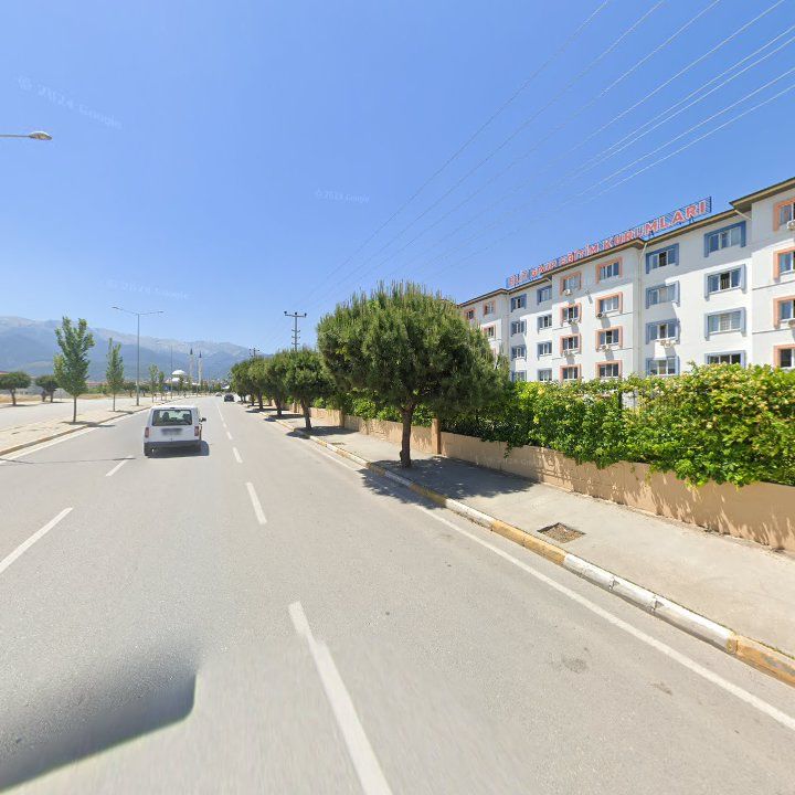 Fotoğraf 10