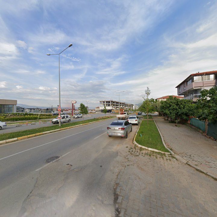 Fotoğraf 10