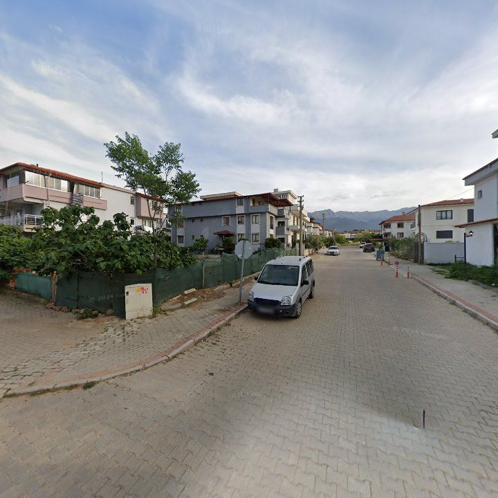 Fotoğraf 11