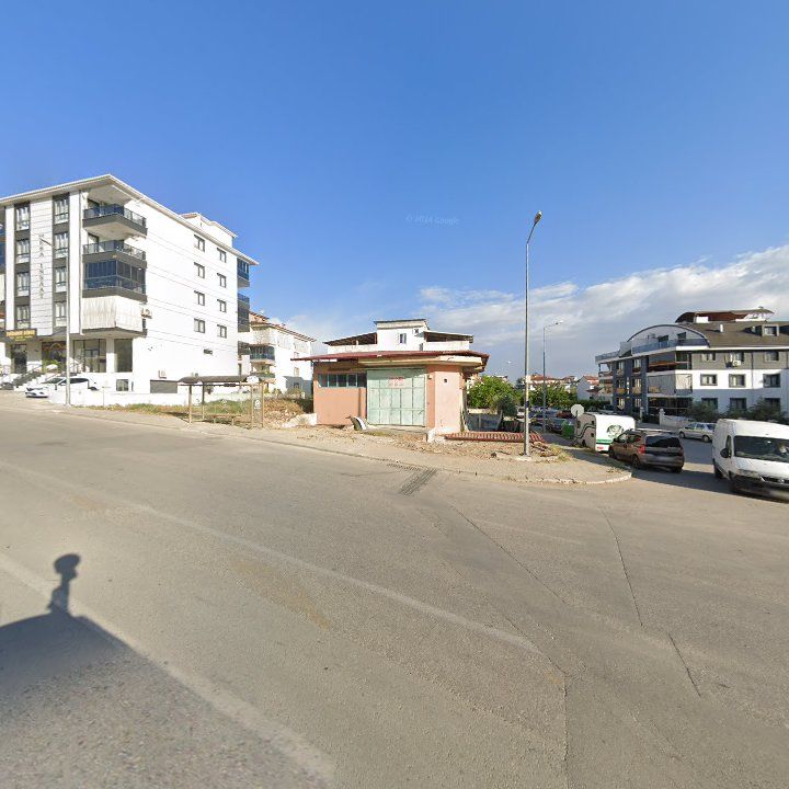 Fotoğraf 7