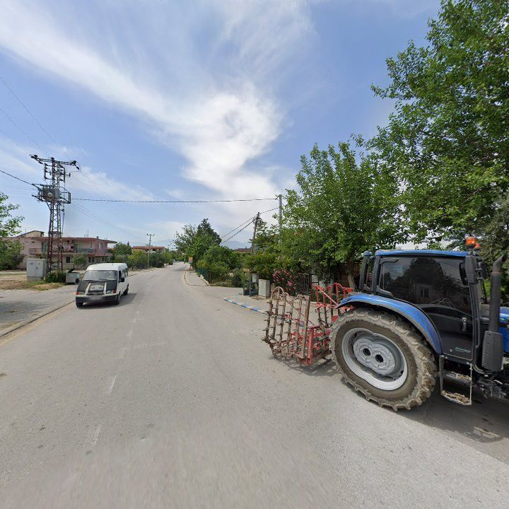 Fotoğraf 11