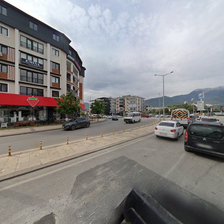 Fotoğraf 12