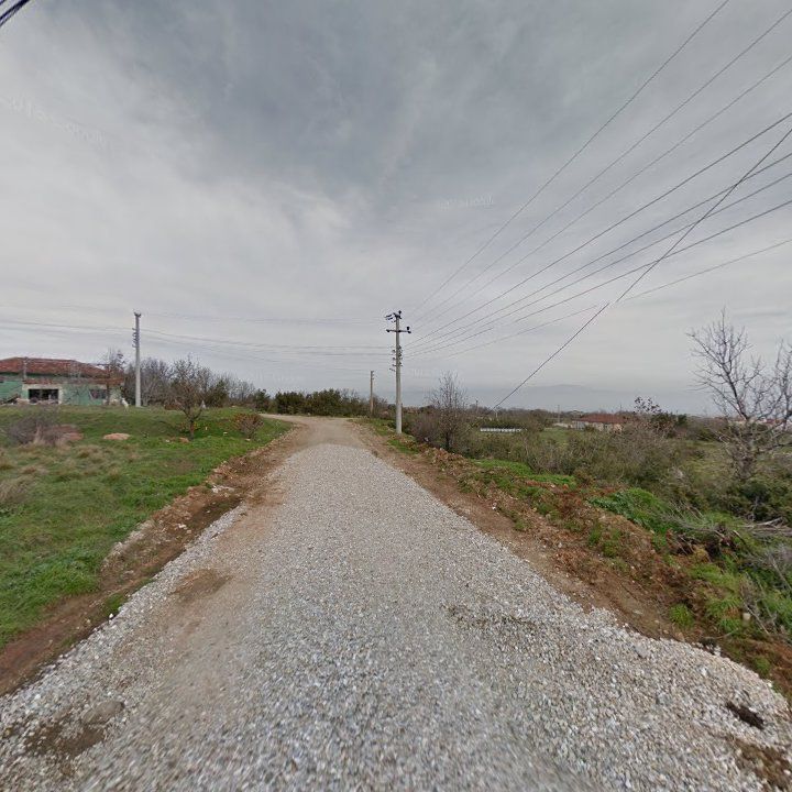 Fotoğraf 10