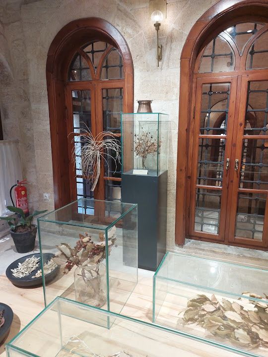 Yorum fotoğrafı 4