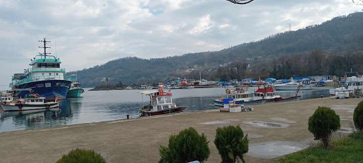 Yorum fotoğrafı 2
