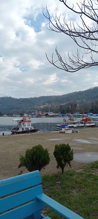 Yorum fotoğrafı 1