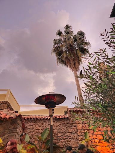 Fotoğraf 32