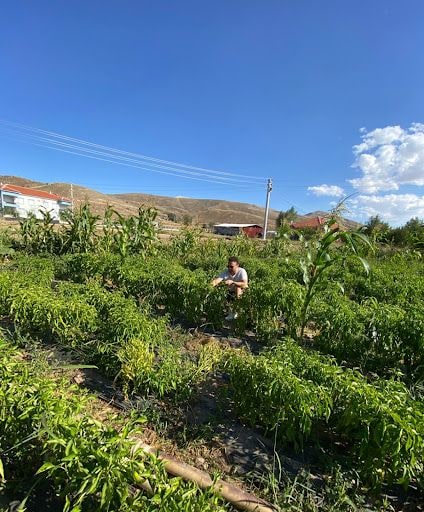 Fotoğraf 20