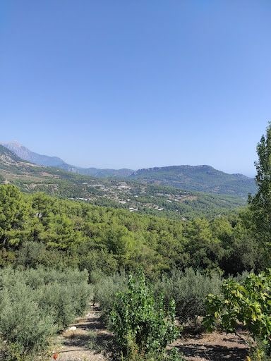 Fotoğraf 8