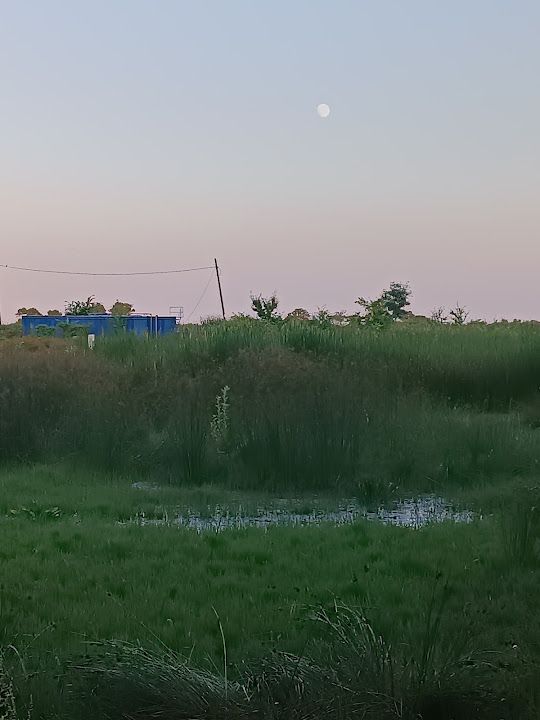 Yorum fotoğrafı 9