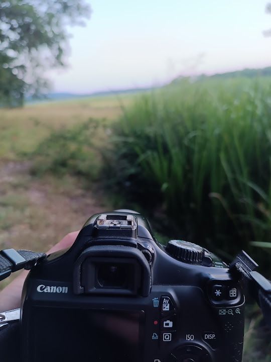 Yorum fotoğrafı 10