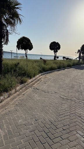 Fotoğraf 19