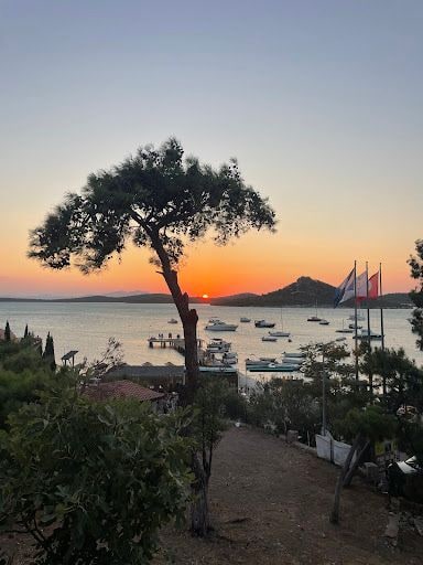 Fotoğraf 14