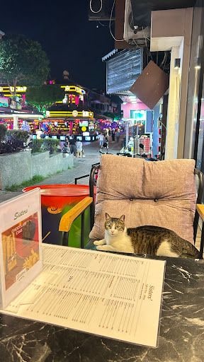 Yorum fotoğrafı 1