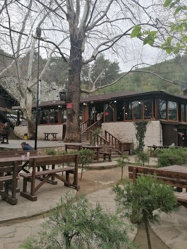 Yorum fotoğrafı 7
