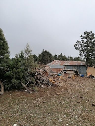 Yorum fotoğrafı 8