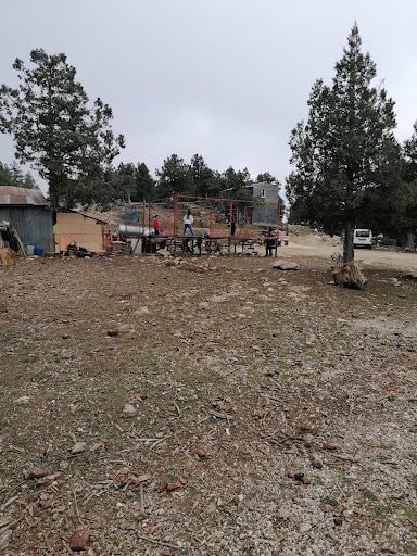 Yorum fotoğrafı 9