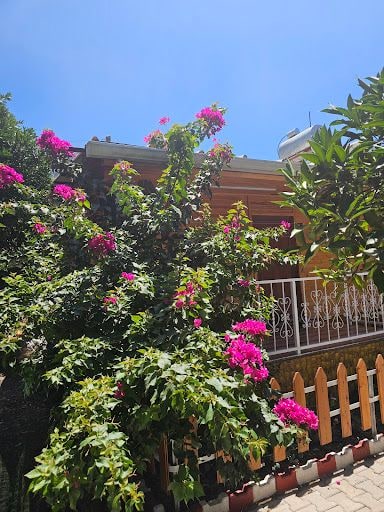 Fotoğraf 16