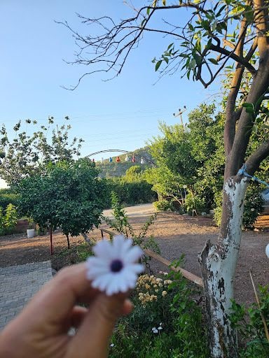 Fotoğraf 21
