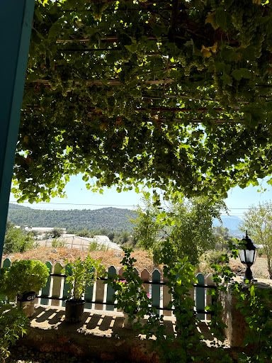 Fotoğraf 15