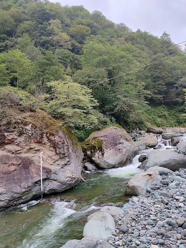Fotoğraf 33