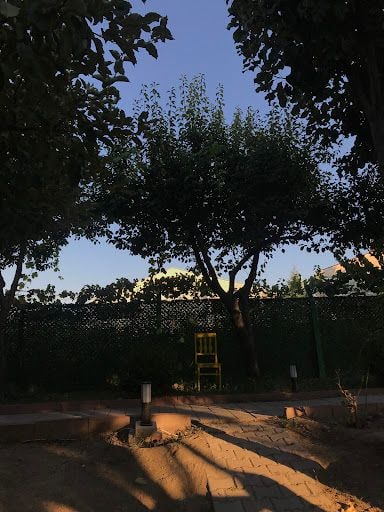 Yorum fotoğrafı 4