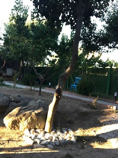 Yorum fotoğrafı 5