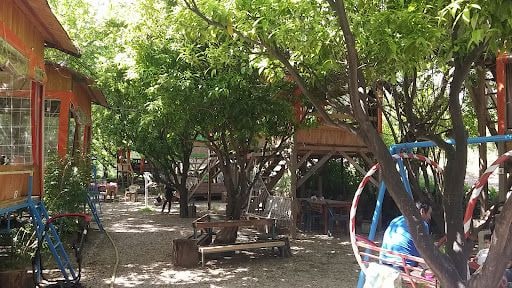 Yorum fotoğrafı 5