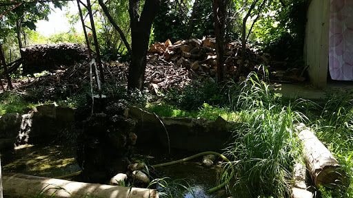 Yorum fotoğrafı 7